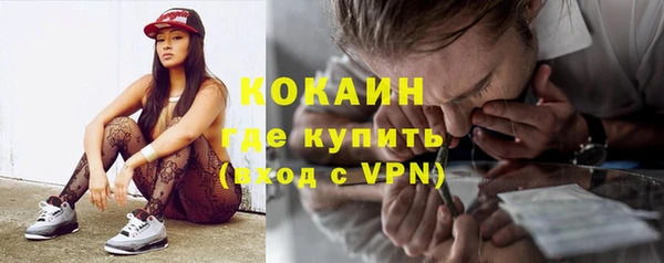 стаф Няндома