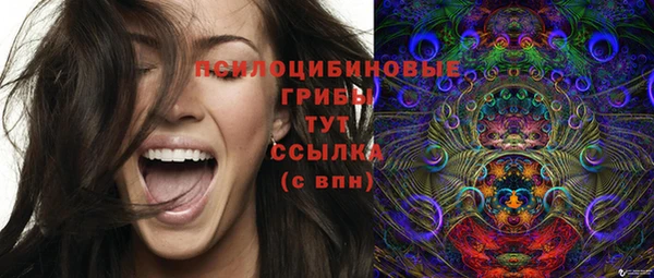 мескалин Осинники