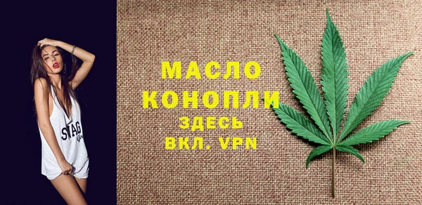 стаф Няндома