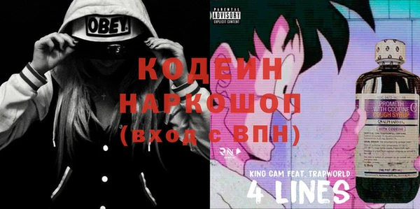 стаф Няндома