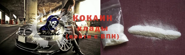 стаф Няндома